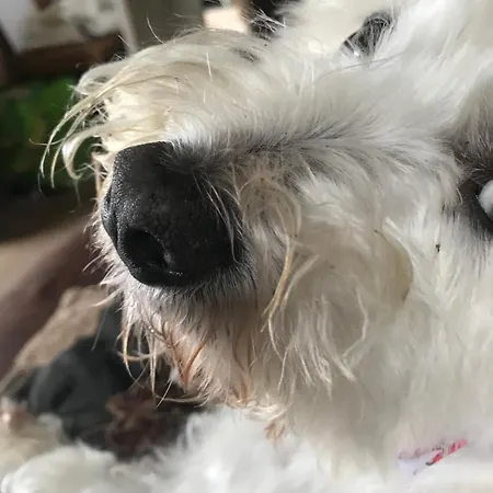 Alojamento de Acomodação e Pequeno-almoço Stockghyll 4*