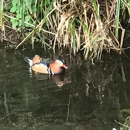 Stockghyll 4* Bowness-on-Windermere