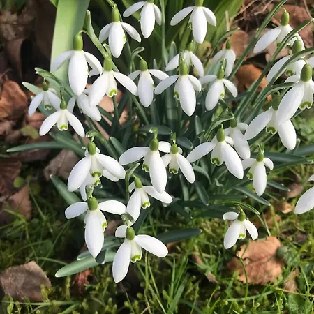 Stockghyll Alojamento de Acomodação e Pequeno-almoço Bowness-on-Windermere