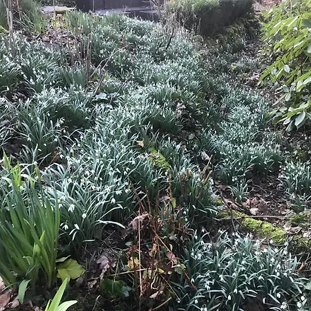 Alojamento de Acomodação e Pequeno-almoço Stockghyll Bowness-on-Windermere