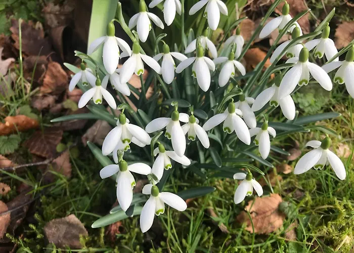 Stockghyll فندق مبيت وإفطار باونيس أون وينديرمير