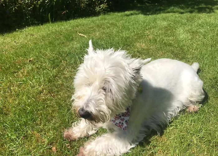 فندق مبيت وإفطار Stockghyll 4*