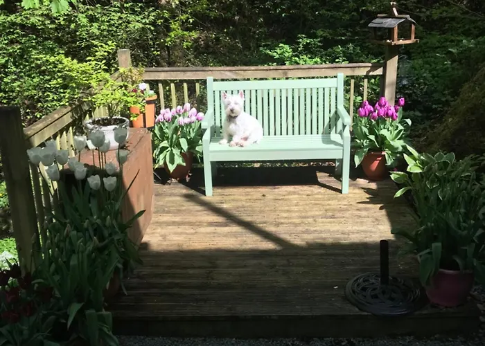 Stockghyll فندق مبيت وإفطار 4*