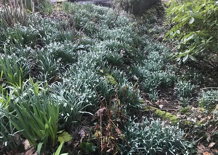 فندق مبيت وإفطار Stockghyll باونيس أون وينديرمير