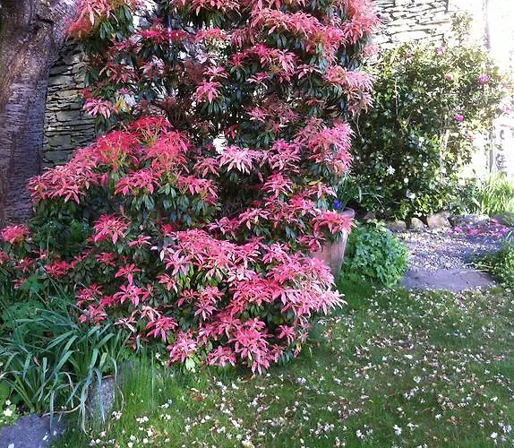 فندق مبيت وإفطار Stockghyll باونيس أون وينديرمير