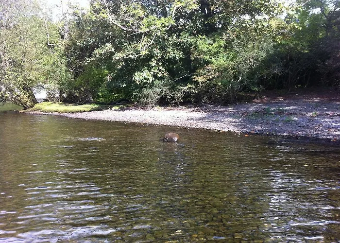 فندق مبيت وإفطار Stockghyll